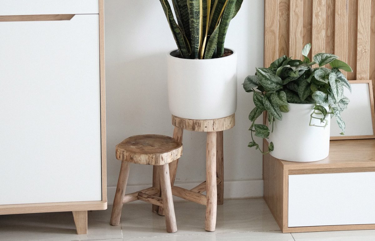 In Good Taste: Mark Finlay Architects & Interiors